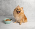 Cargar la imagen en la vista de la galería, Pollo - Alimento fresh para perro (1kg)