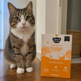 Cargar la imagen en la vista de la galería, Pollo & Caldo de Salmón - Alimento fresh para gato (220g)