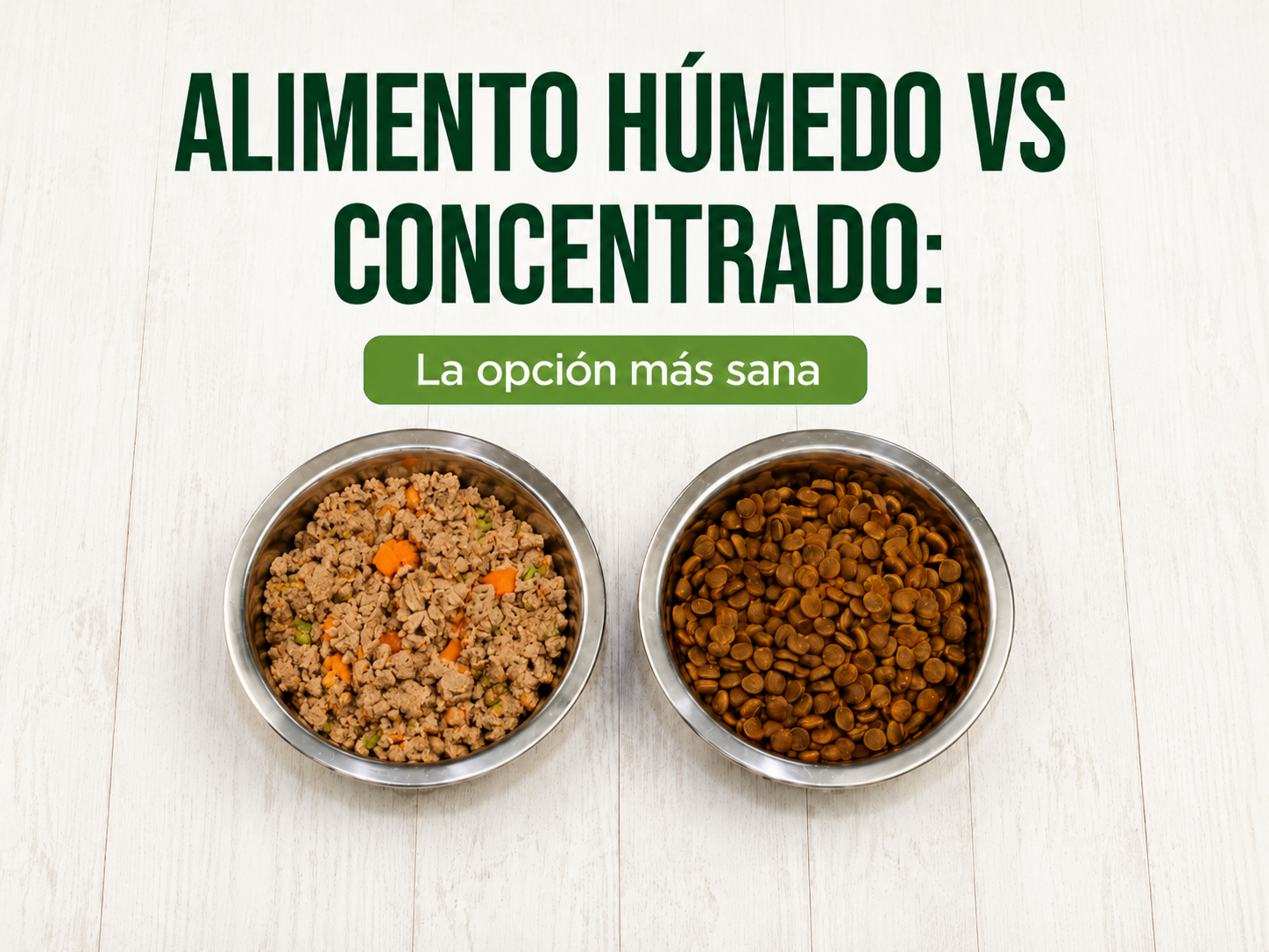 Perro sano bebiendo agua junto a un plato de alimento húmedo natural