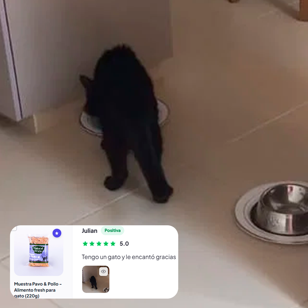 Pollo & Caldo de Salmón - Alimento fresh para gato (220g)