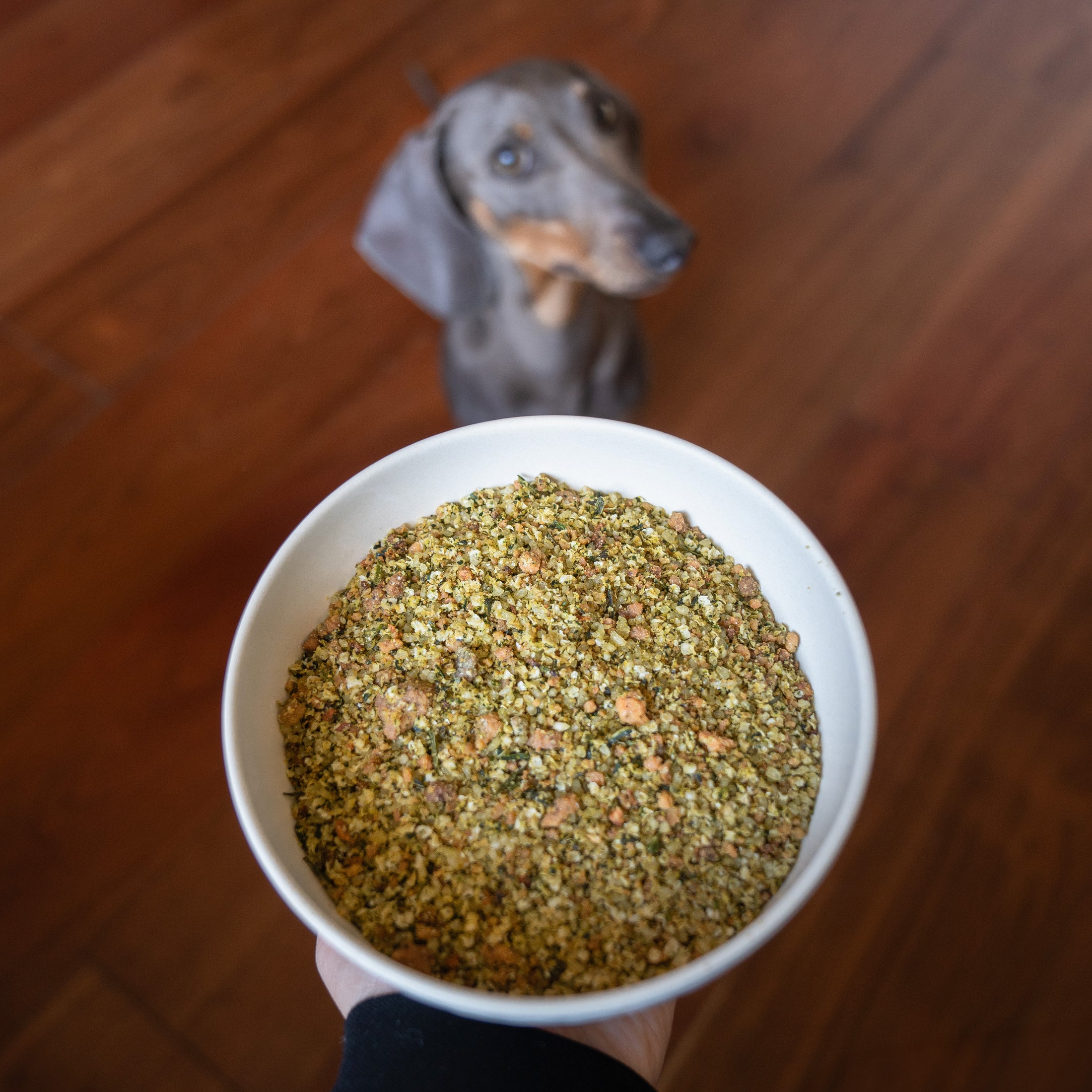 Pescado & Quinoa - Alimento deshidratado para perro (4kg)