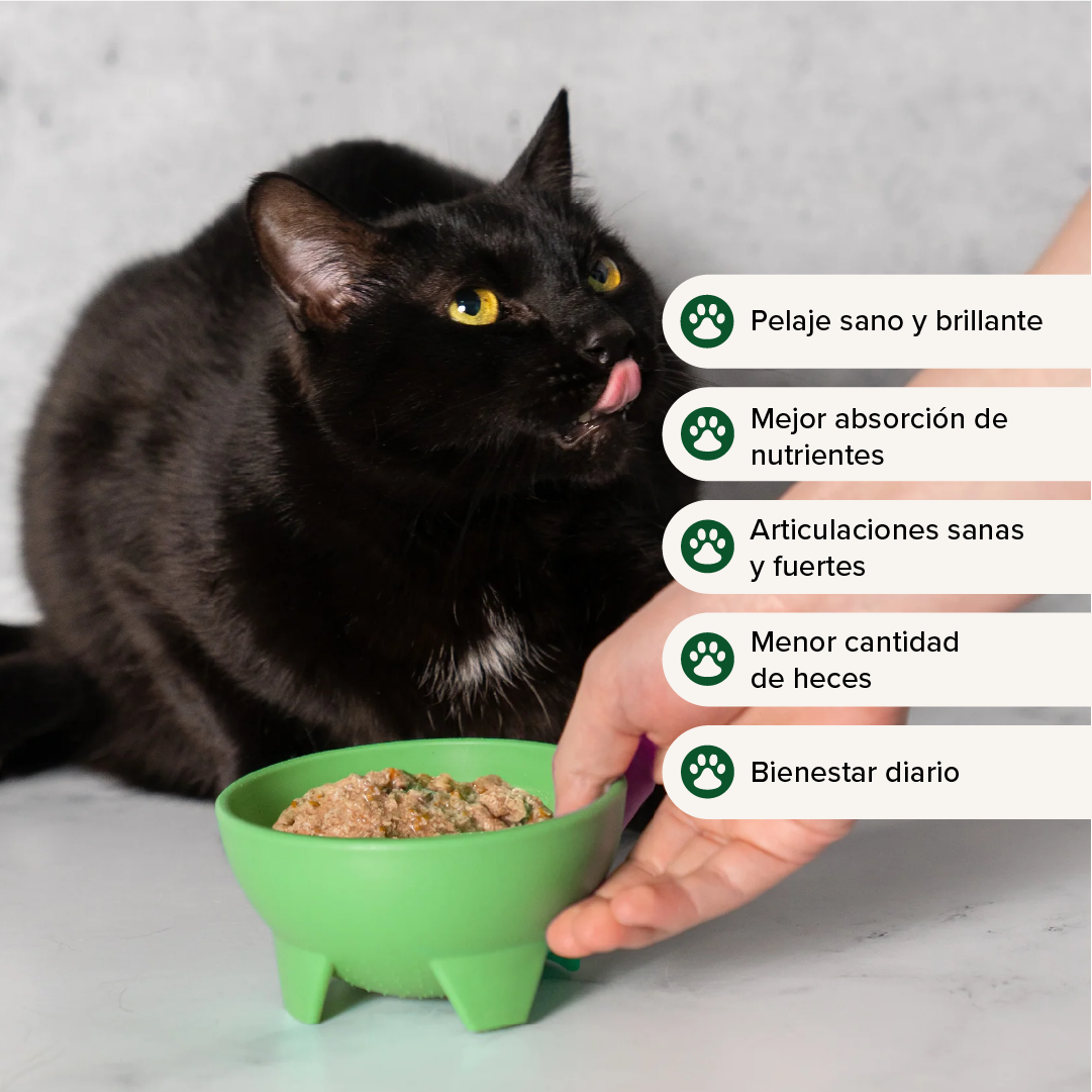 Pavo & Pollo - Alimento para gato  (2.8 kg)