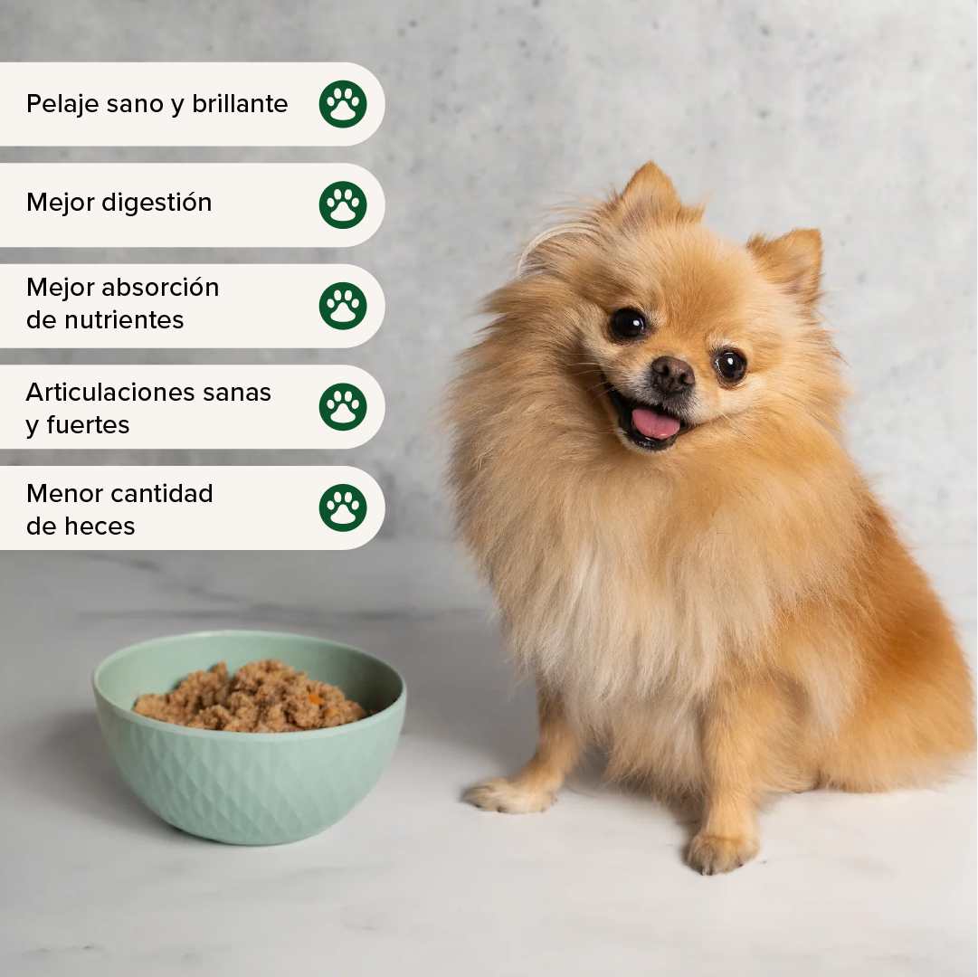 Res - Alimento fresh para perro (1kg)