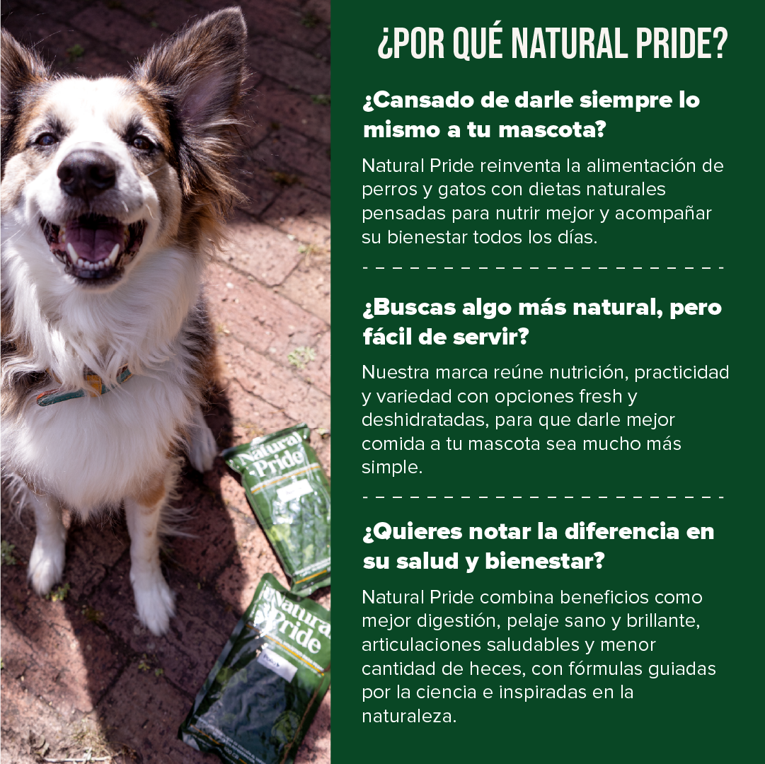 Res - Alimento fresh para perro (1kg)