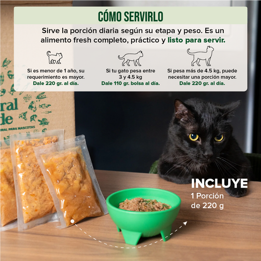 Alimento natural para gato con pavo, pollo, huevo y verduras