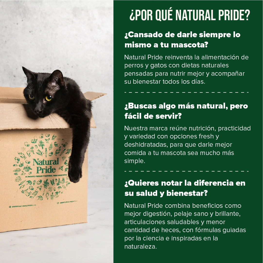 Muestra Pavo & Pollo - Alimento fresh para gato (220g)