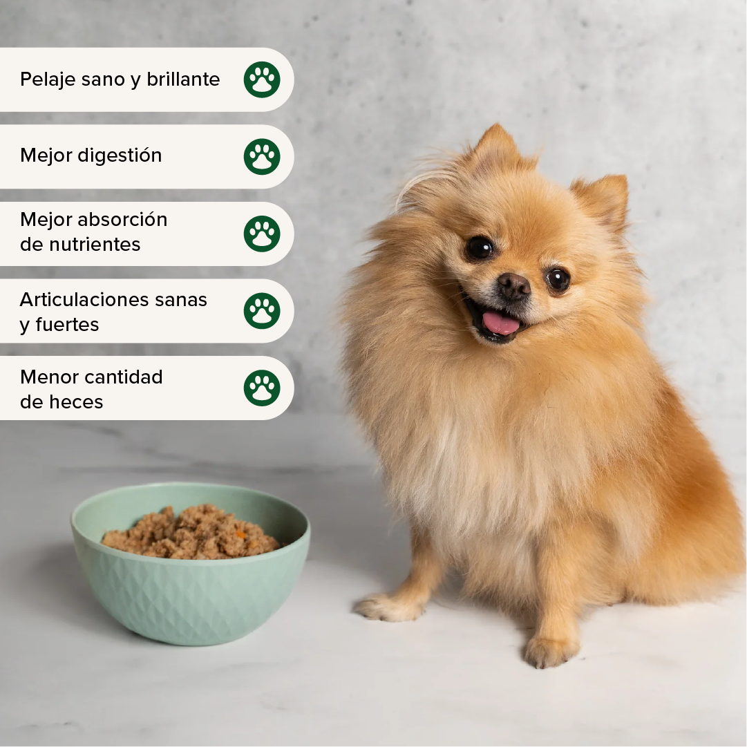 Alimento natural para perro rehidratable con pollo y lentejas