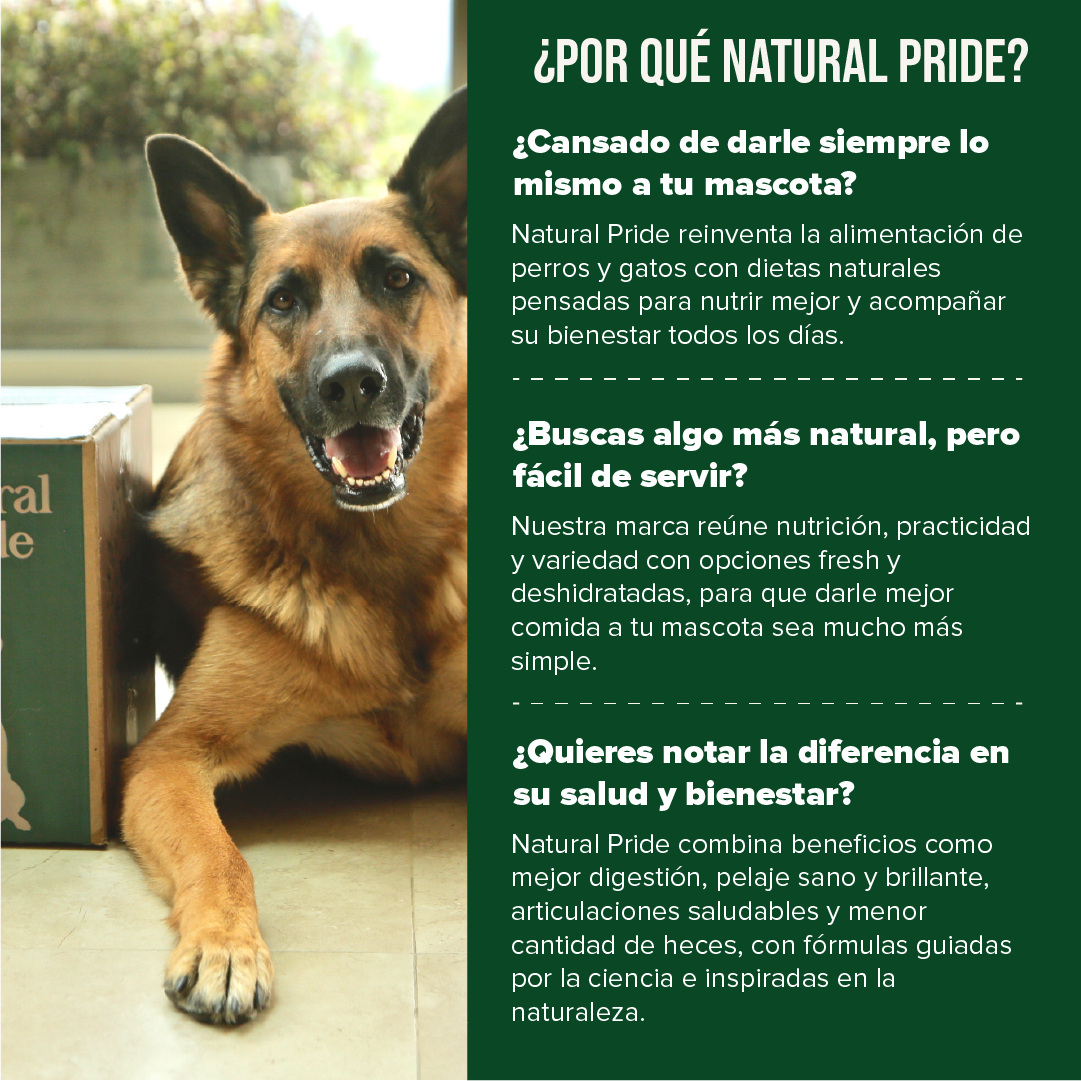Pollo & Lentejas - Alimento deshidratado para perro (4kg)