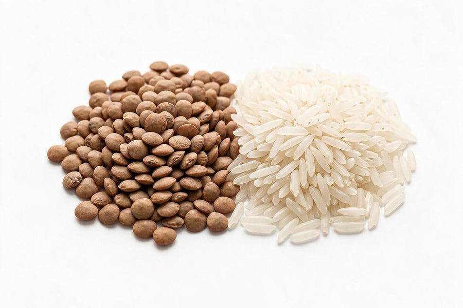 LENTEJAS Y ARROZ