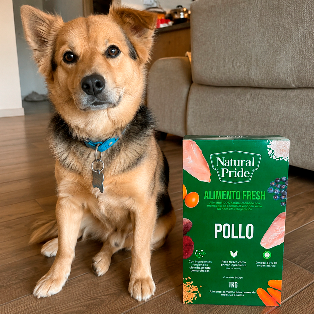 Pollo - Alimento fresh para perro (1kg)
