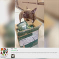 Reproducir el video en la vista de la galería, Res - Alimento fresh para perro (1kg)
